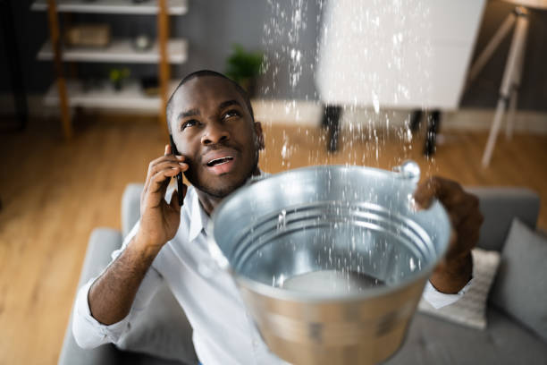 Best Water damage cleanup near me  in Soulsbyville, CA