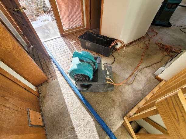 Best Ceiling water damage repair  in Soulsbyville, CA