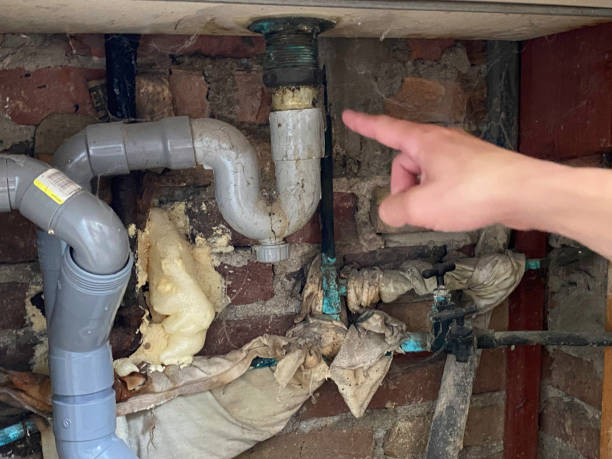 Best Professional water damage repair  in Soulsbyville, CA